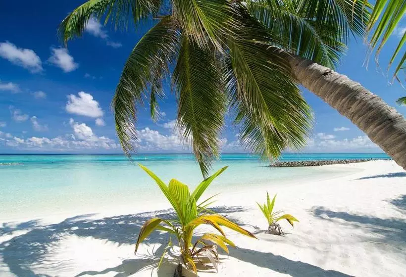 Summer Island Maldives Resort