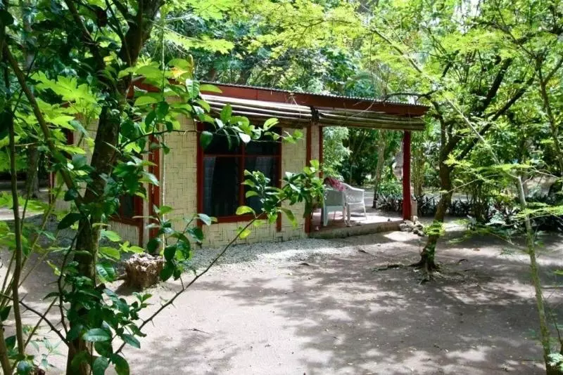 ホテル Dolphin Bay Divers Retreat