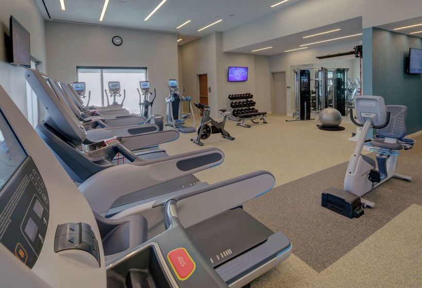 فندق Hilton Norfolk The Main