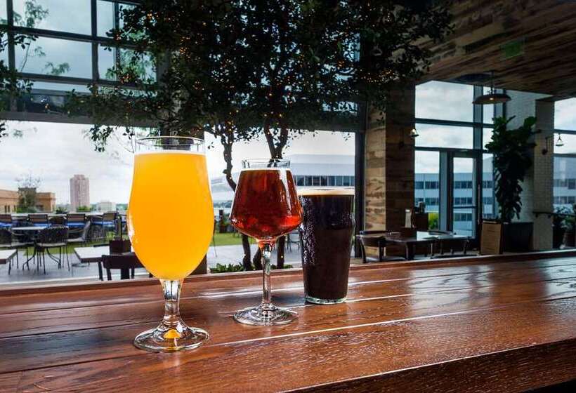 فندق Hilton Norfolk The Main