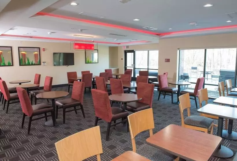 ホテル Towneplace Suites By Marriott Battle Creek