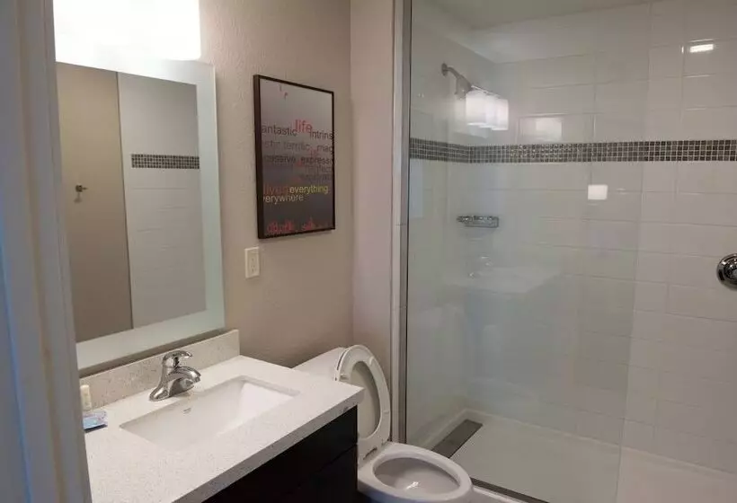 ホテル Towneplace Suites By Marriott Battle Creek