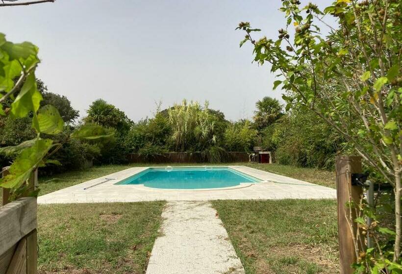 酒店 Métairie De Moutiques