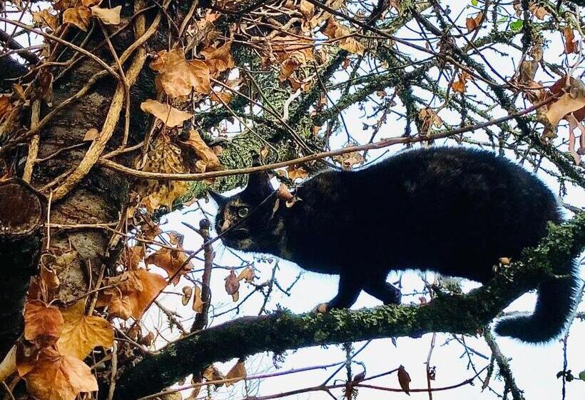 酒店 Métairie De Moutiques