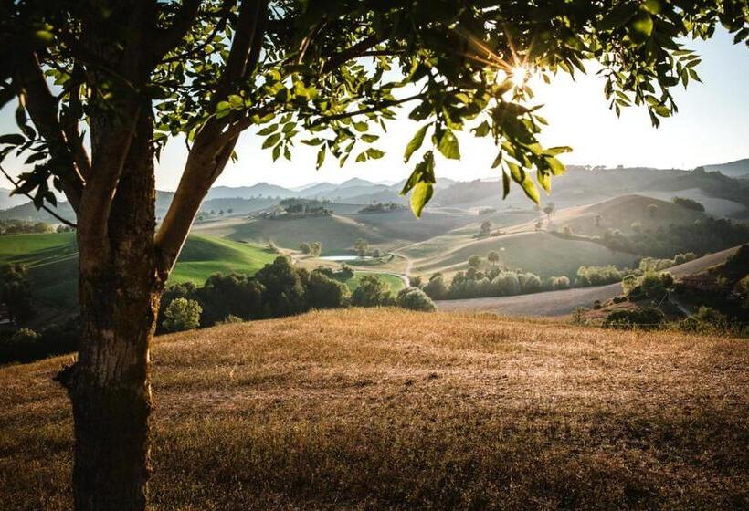 Bed and Breakfast Suite Con Bagno In Villa Esclusiva   Urbino