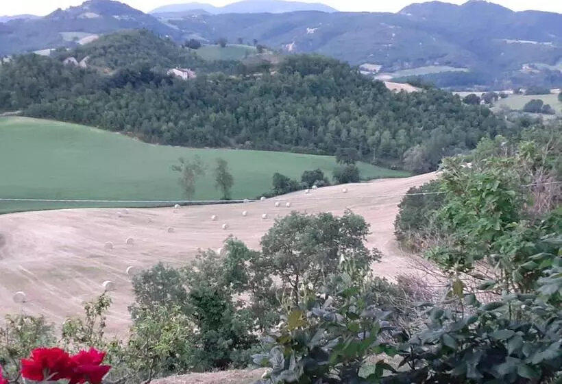 ベッドアンドブレックファースト Suite Con Bagno In Villa Esclusiva   Urbino