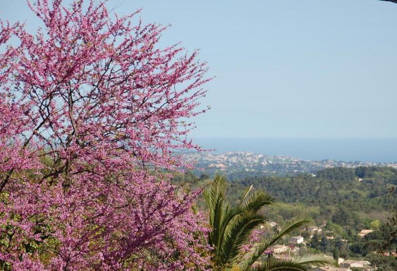 住宿加早餐  Le Mazet De Tourrettes