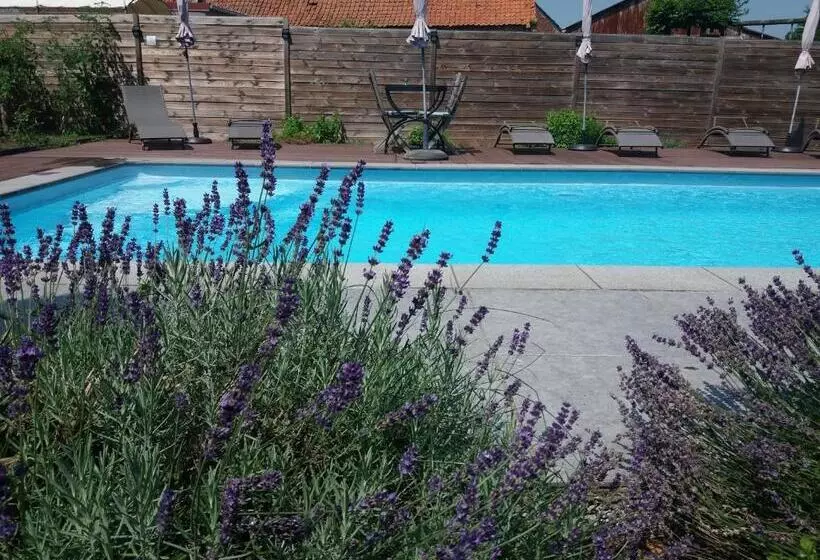 Aamiaismajoitus (B&B) Chambres D Hotes ,hotel ,secret D Une Nuit A Vicq Prės De Onnaing,avec Piscine