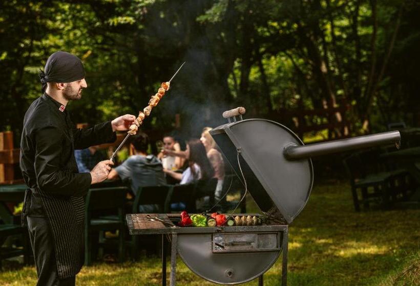 هتل Kvareli Lake Resort