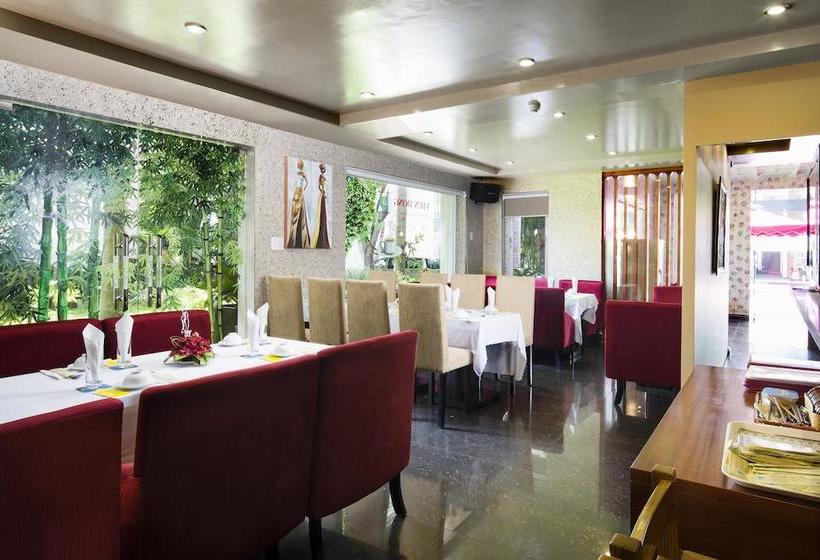 Vien Dong Hotel 6  South Saigon