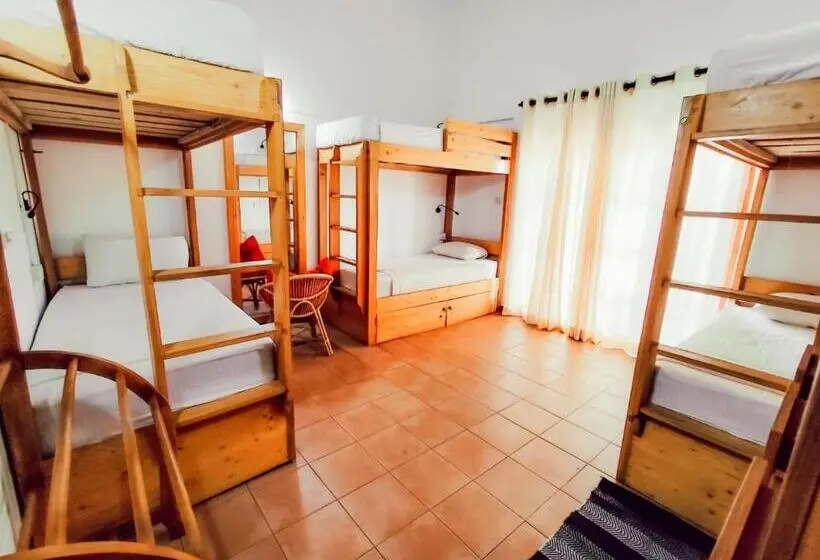Hummus Hostel & Restaurant