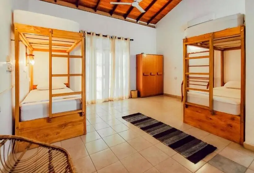 Hummus Hostel & Restaurant