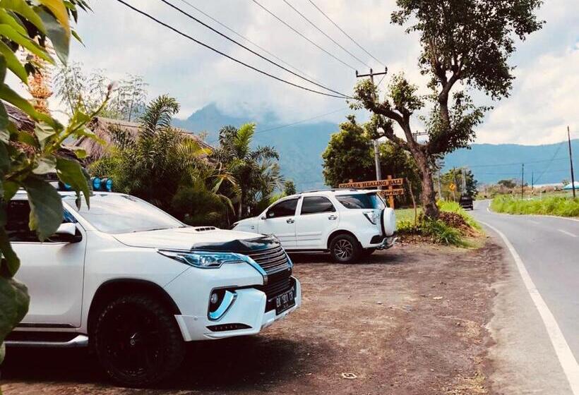 Отель Star Villa Kintamani