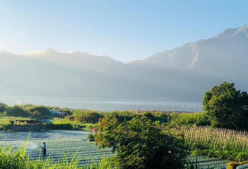 Отель Star Villa Kintamani