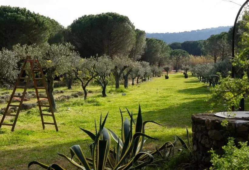 Aamiaismajoitus (B&B) Campagne Les Jumeaux