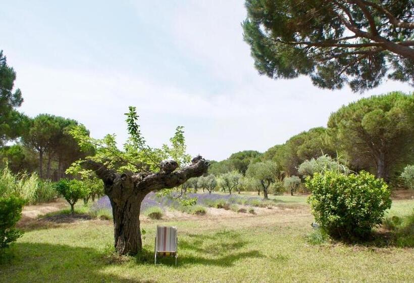 Bed and Breakfast Campagne Les Jumeaux