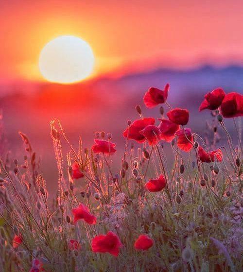 민박 Chambres D Hôtes Saintexupéry