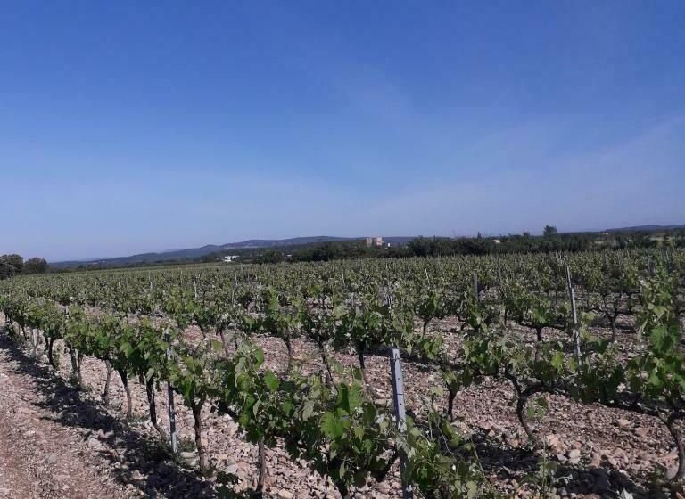 مبيت وإفطار Vents D Anges