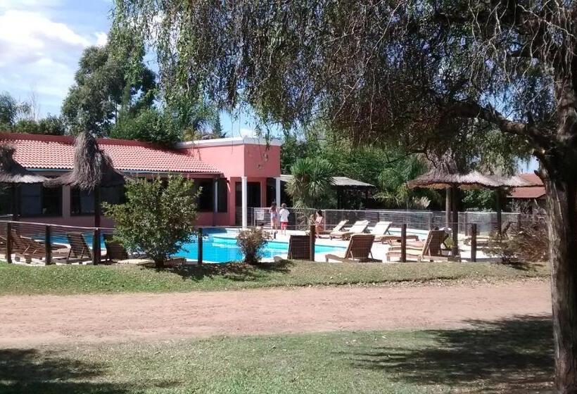 Hotel Cabaãƒæ’ã‚â±as Del Ysyry