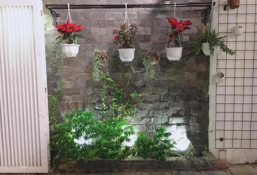 Travellers Nest Hostel