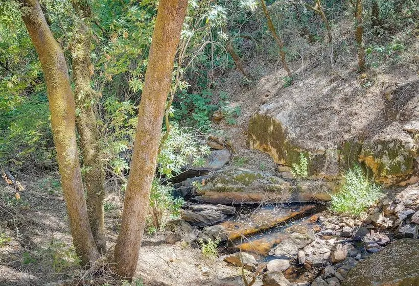 Meadow Vista Mountain Escape W/ River Views!