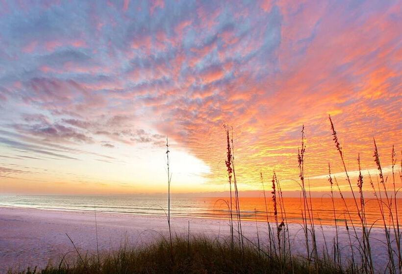 Beach Residences On Siesta Aka The Hyatt