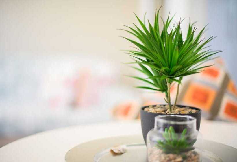 Nocleg ze śniadaniem Caza Beach Guesthouse