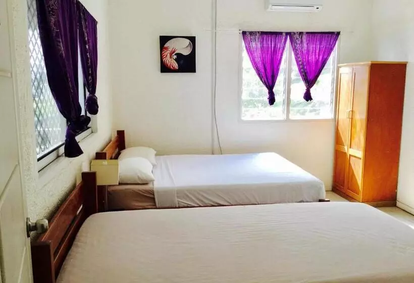 تختخواب و صبحانه Room With A View & Apartment Style