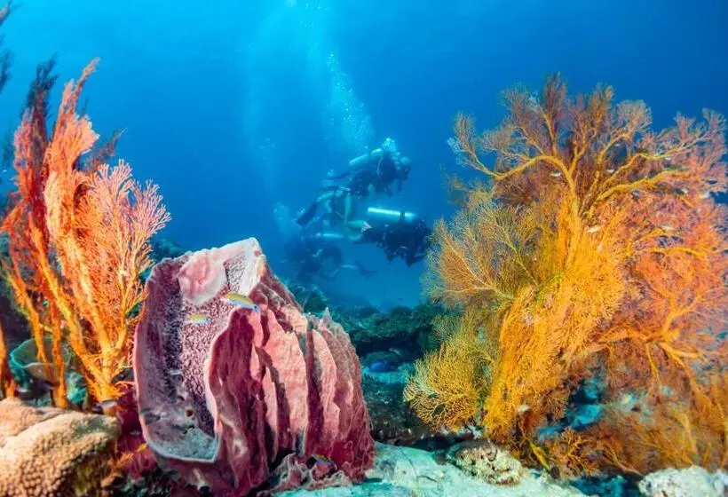 Forra Dive Resort Pattaya Beach