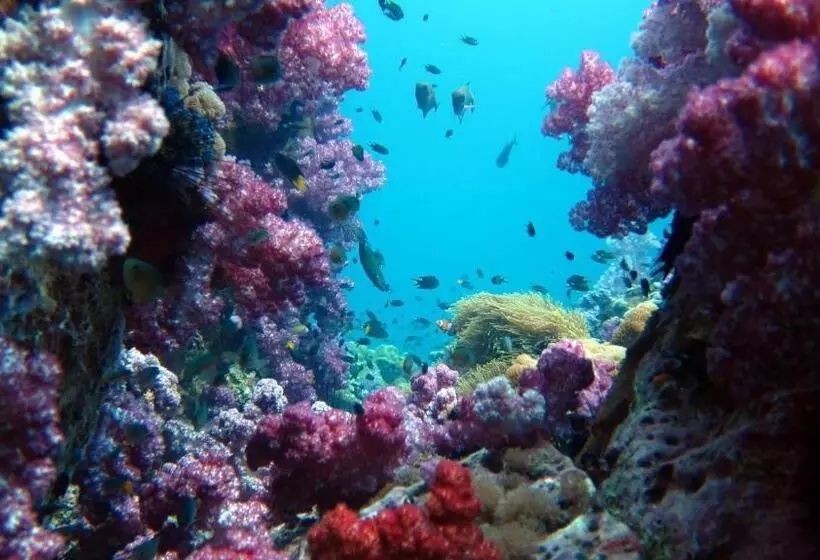 Forra Dive Resort Pattaya Beach