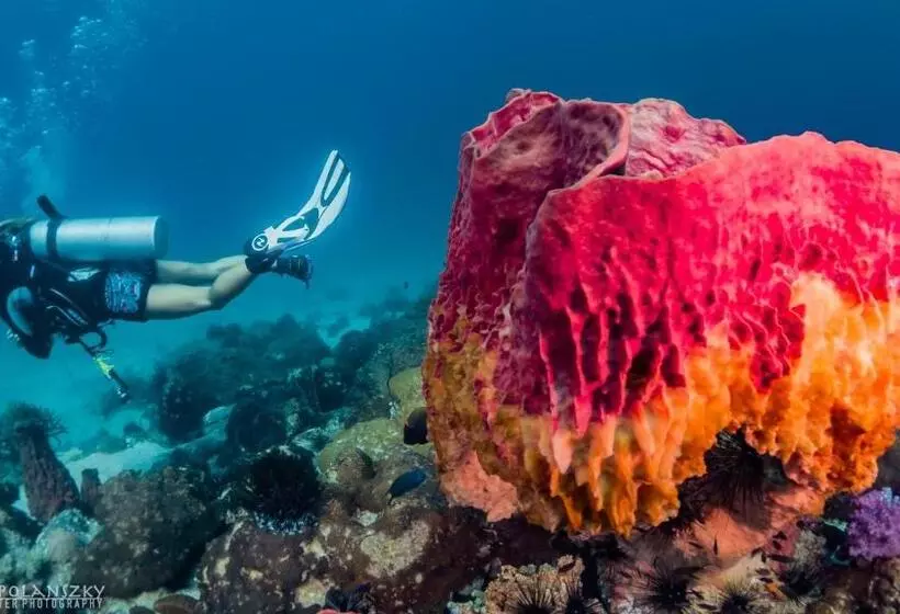 Forra Dive Resort Pattaya Beach