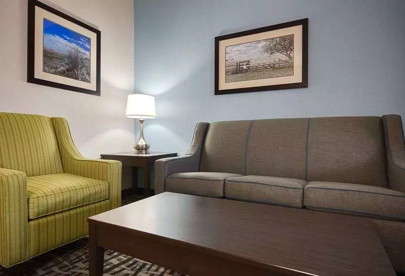 ホテル Best Western Plus Lonestar Inn & Suites