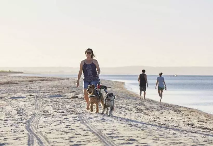 ホテル Big4 Breeze Holiday Parks   Busselton