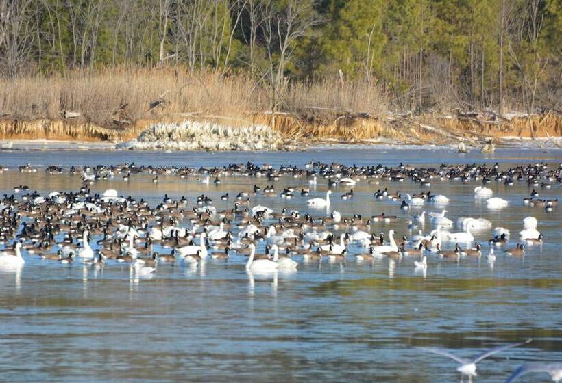 酒店 Black Walnut Point Inn