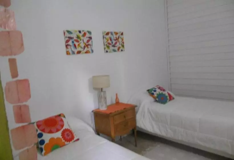 Nautilus B&b