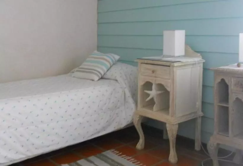 Nautilus B&b