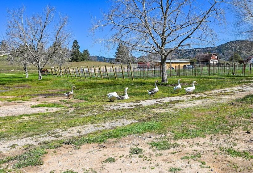 Julian Cottage Stay W/ Near Wildlife & Wineries