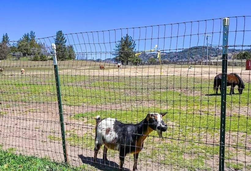 Julian Cottage Stay W/ Near Wildlife & Wineries