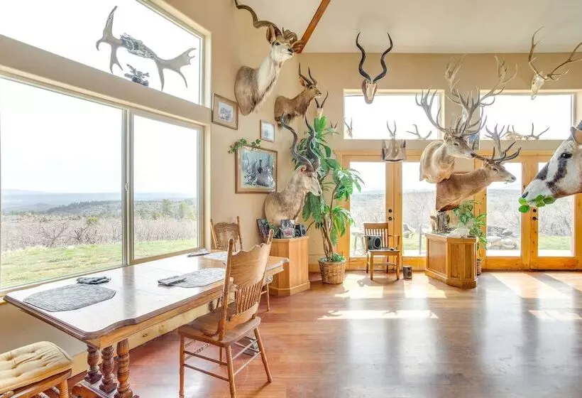 Norwood Home On 36 Acres: Hunting, Fishing & More!