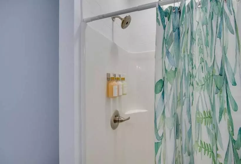 Sunny Gulfport Vacation Rental: Walk To Beaches!