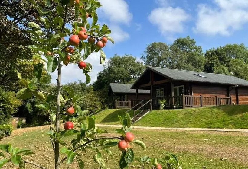 ホテル Hollybush Lodges