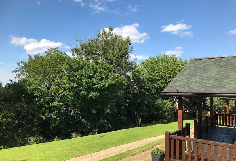 Отель Hollybush Lodges