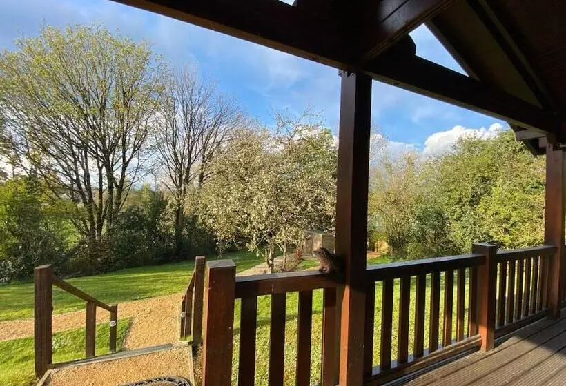 ホテル Hollybush Lodges