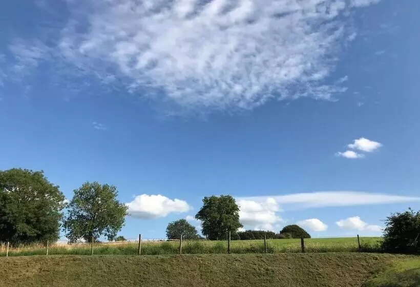 ホテル Hollybush Lodges