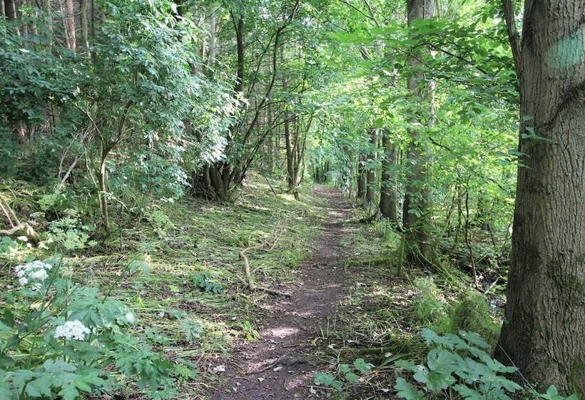 3 Bedrooms 2 Bath Cottage Balcony Garden Dogs Free