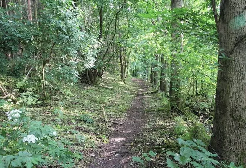 3 Bedrooms 2 Bath Cottage Balcony Garden Dogs Free