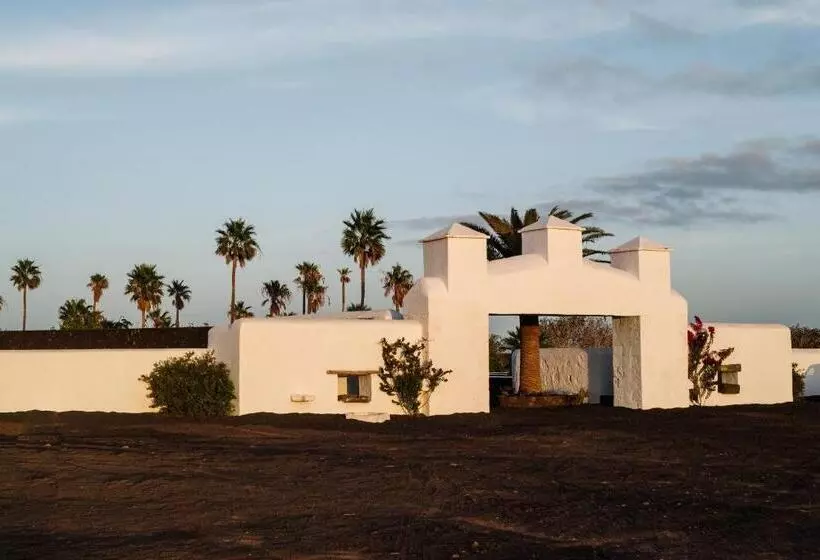 César Lanzarote Luxury Boutique Hotel   Adults Only