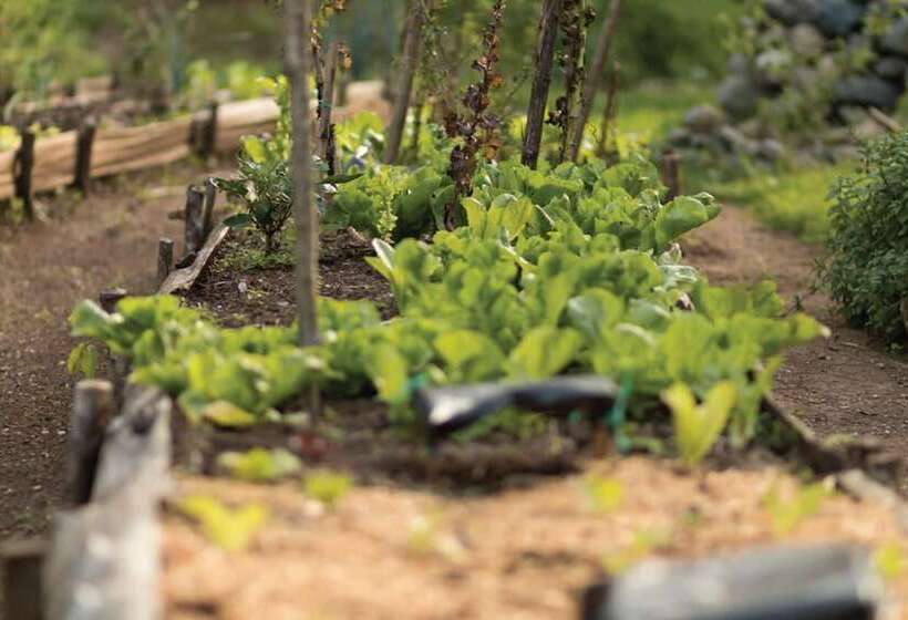 هتل Santuario Natural El Tular