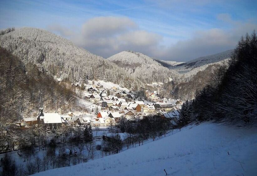 펜션 Klein Holland Harz