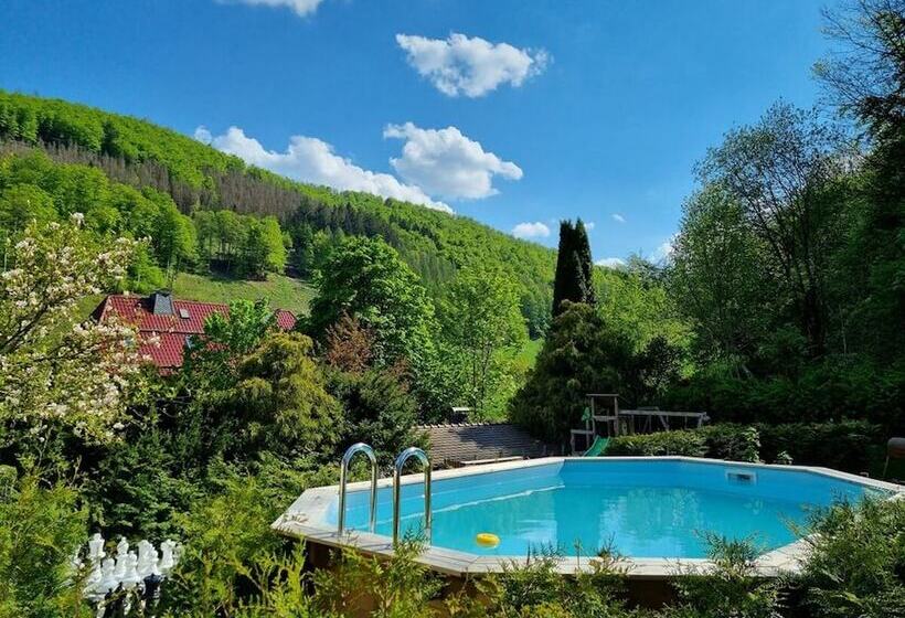 펜션 Klein Holland Harz